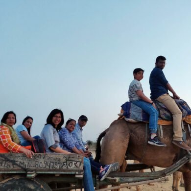 Camel Cart Ride Mandawa
