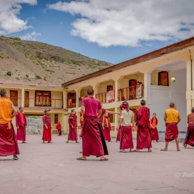Monks playing volleyball
