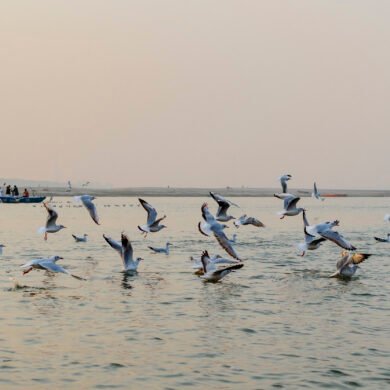 Ganga Varanasi