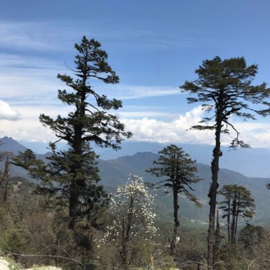 Himalayan Views Bhutan