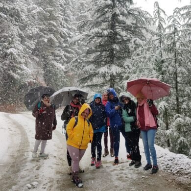Jibhi Snowfall