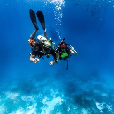 Snorkelling Maldives Bottom