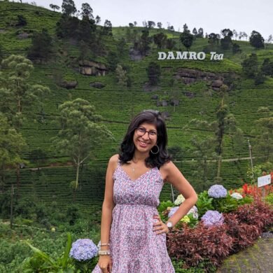 Damro Tea Estate
