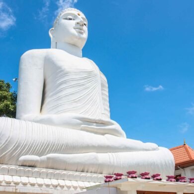 White Buddha Kandy